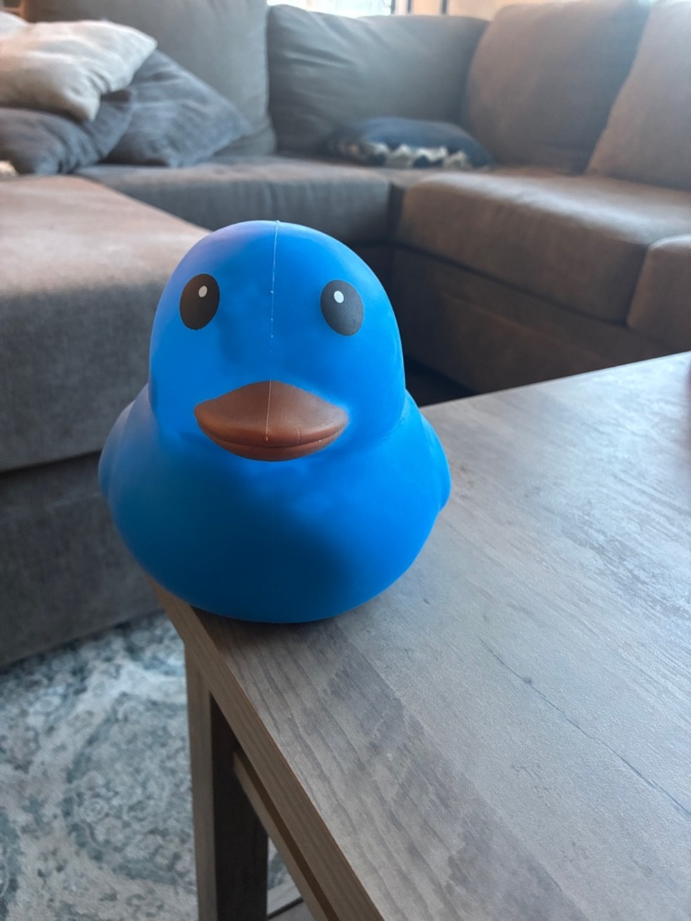 Laffy quack slow-rising stress ball (this is very hard to find btw)